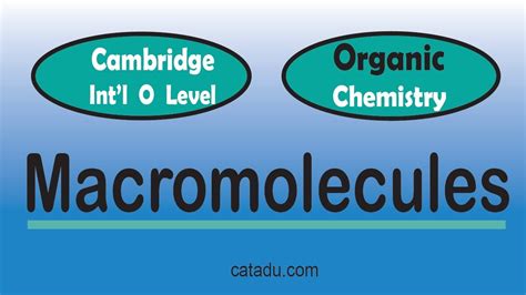 cambridge hermes|hermes macromolecules.